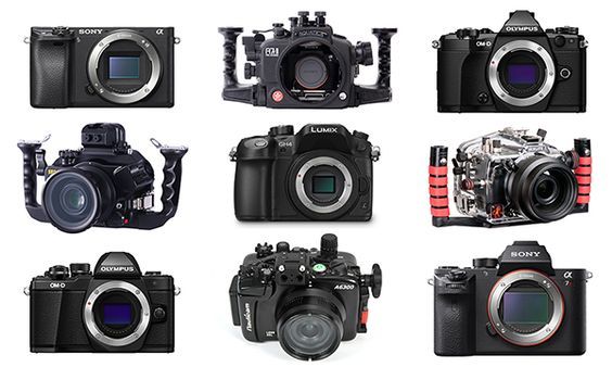 相机推荐新手入门及价位,最合适新手购买的相机