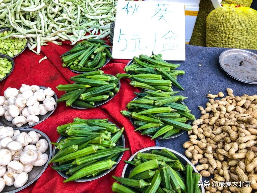 最便宜的早市品种,北方早市有哪些品种