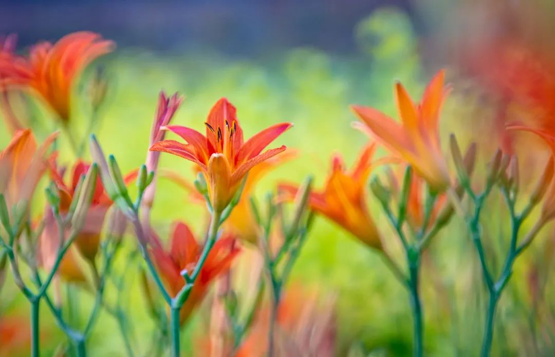 在济南花式避暑，一见“清”心！只需一瞥，便足以把酷夏原谅…
