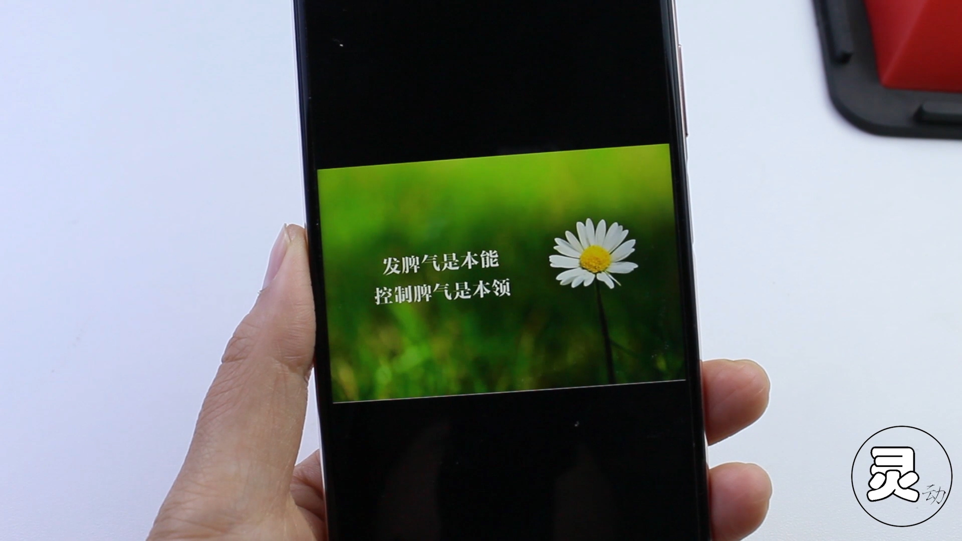 照片加好看的文字水印,如何把拍的照片设计成带文字的