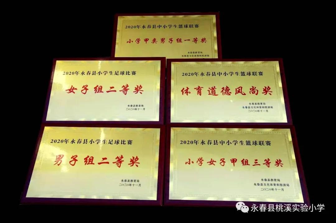 动起来健康活力添风采,动起来少儿体育活动中心