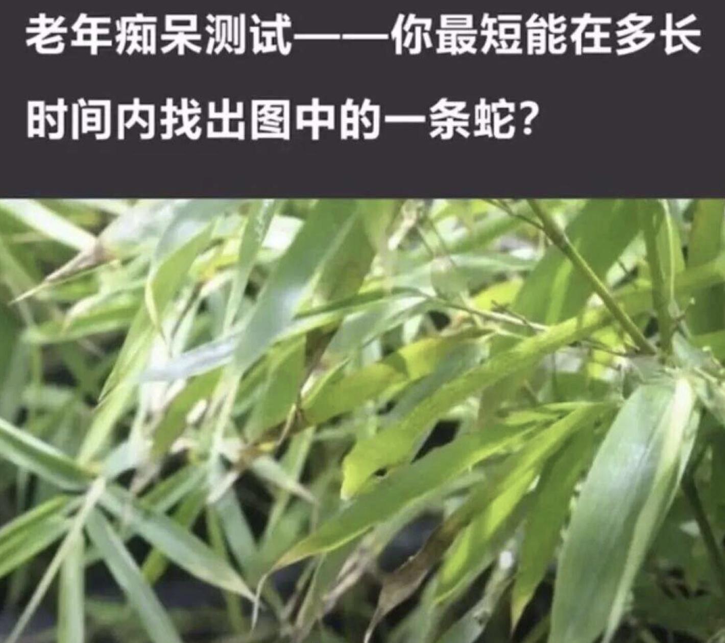 一些很普通的图片,那些看似普通却很惊艳的照片