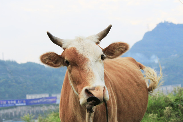 创业者必须经历的几个阶段,给创业者的忠告