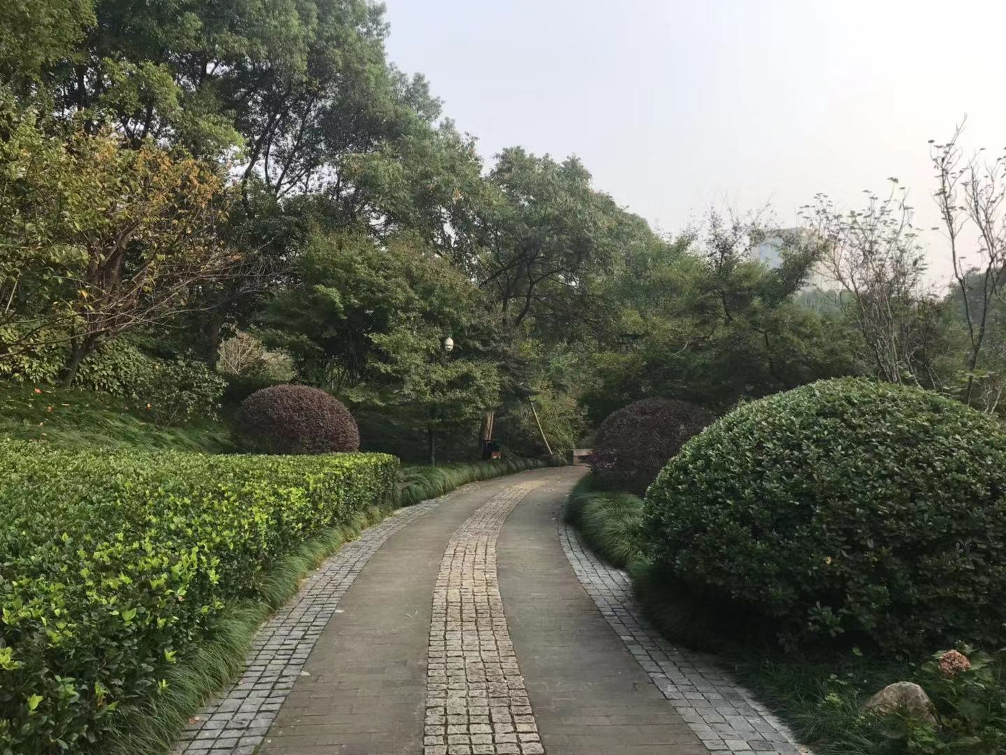 水乡园林之美,园林景观大美呈现