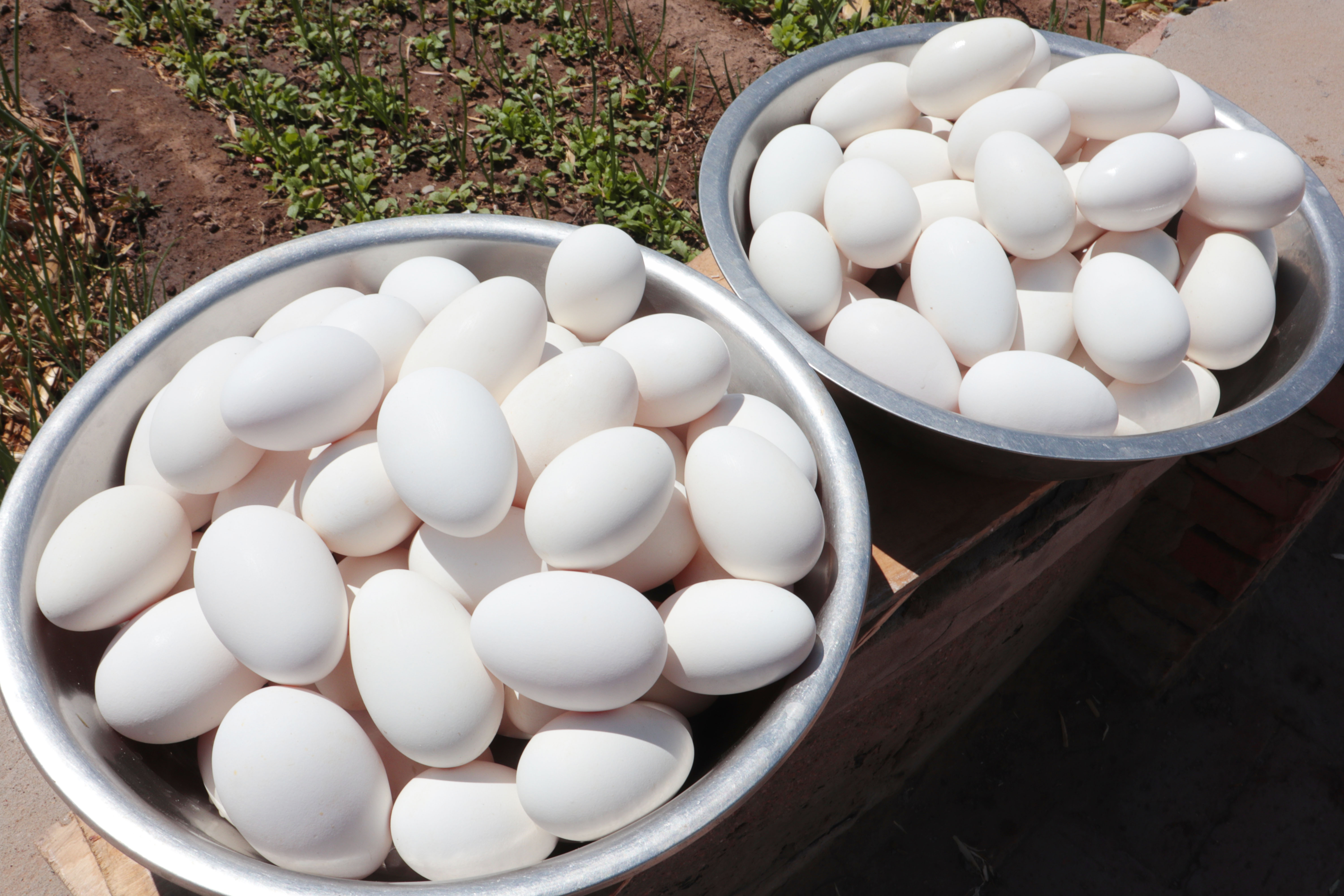 八十岁老人腌鸭蛋配方,80岁姥姥和外甥腌鸡蛋