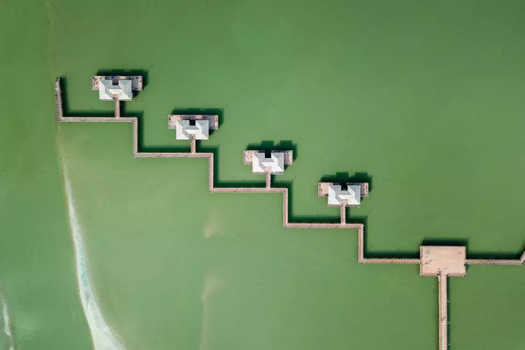 希尔顿亲子度假,惠州希尔顿亲子度假