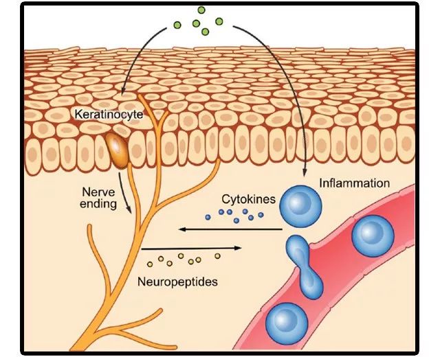 瀹堕噷灏忓寰堝枩娆㈡尃鐥掔棐鎬庝箞鍥炰簨,涓轰粈涔堜汉鍠滄鎸犵棐