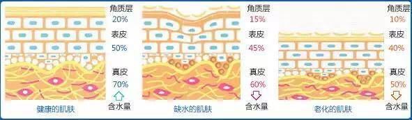 油皮出油严重怎么涂散粉,油皮怎么不用化妆品改善出油