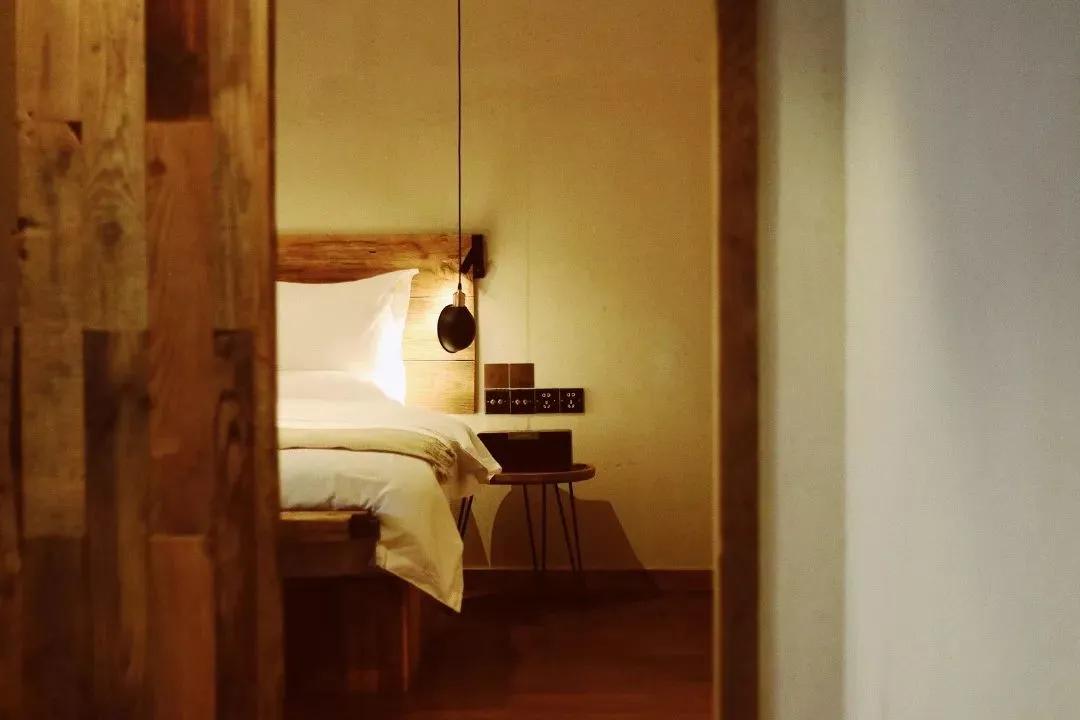 丽水上热搜,浙江丽水现萤火虫星海