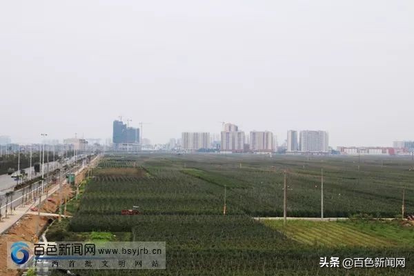 田阳区上半年实现地区生产总值,田阳gdp总量