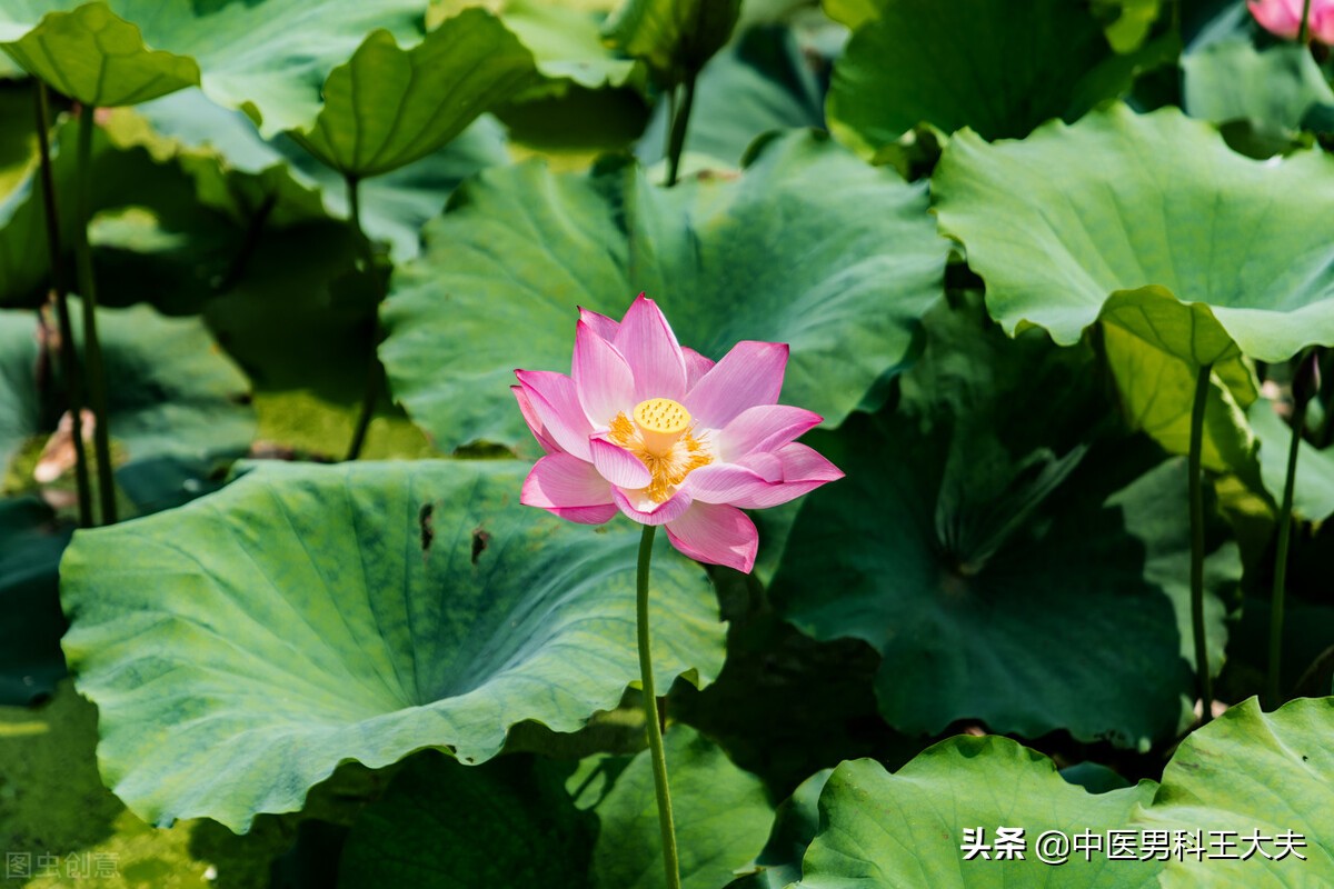 得了ED的人该如何调整好自己的心态，恢复到积极健康的生活状态？