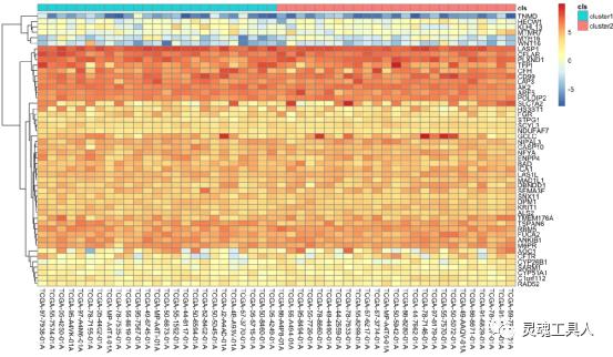 生信分析热图原理,生信分析热图的作用