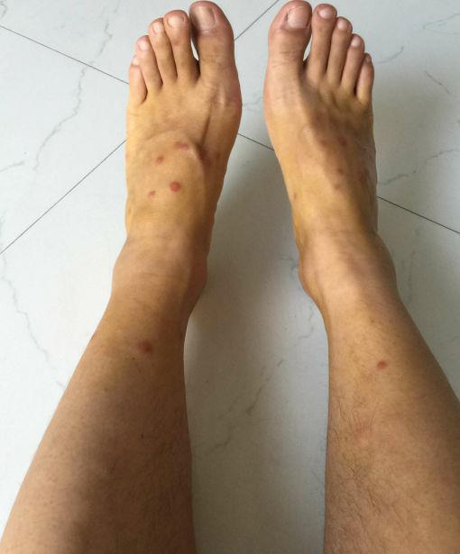 长沙一居民家中惊现神秘黑影,居民家中惊现神秘黑影