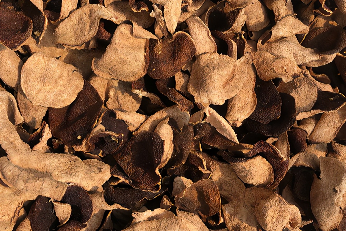 新会陈皮避光,回南天陈皮怎么保养