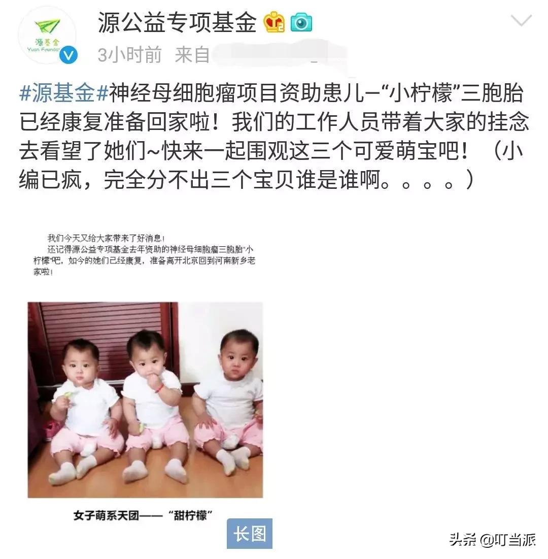 包贝尔女儿饺子花痴,包贝尔女儿追星李现的视频