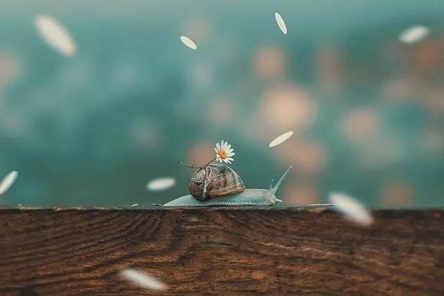 如何识破有心机的人,如何看出一个人是不是有问题