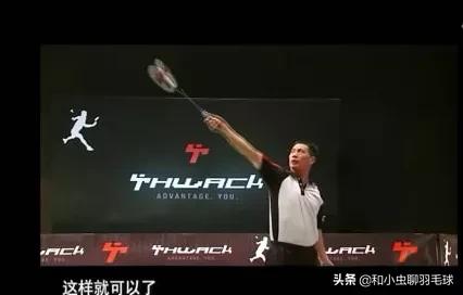 羽毛球基本动作文字介绍,羽毛球的动作描写