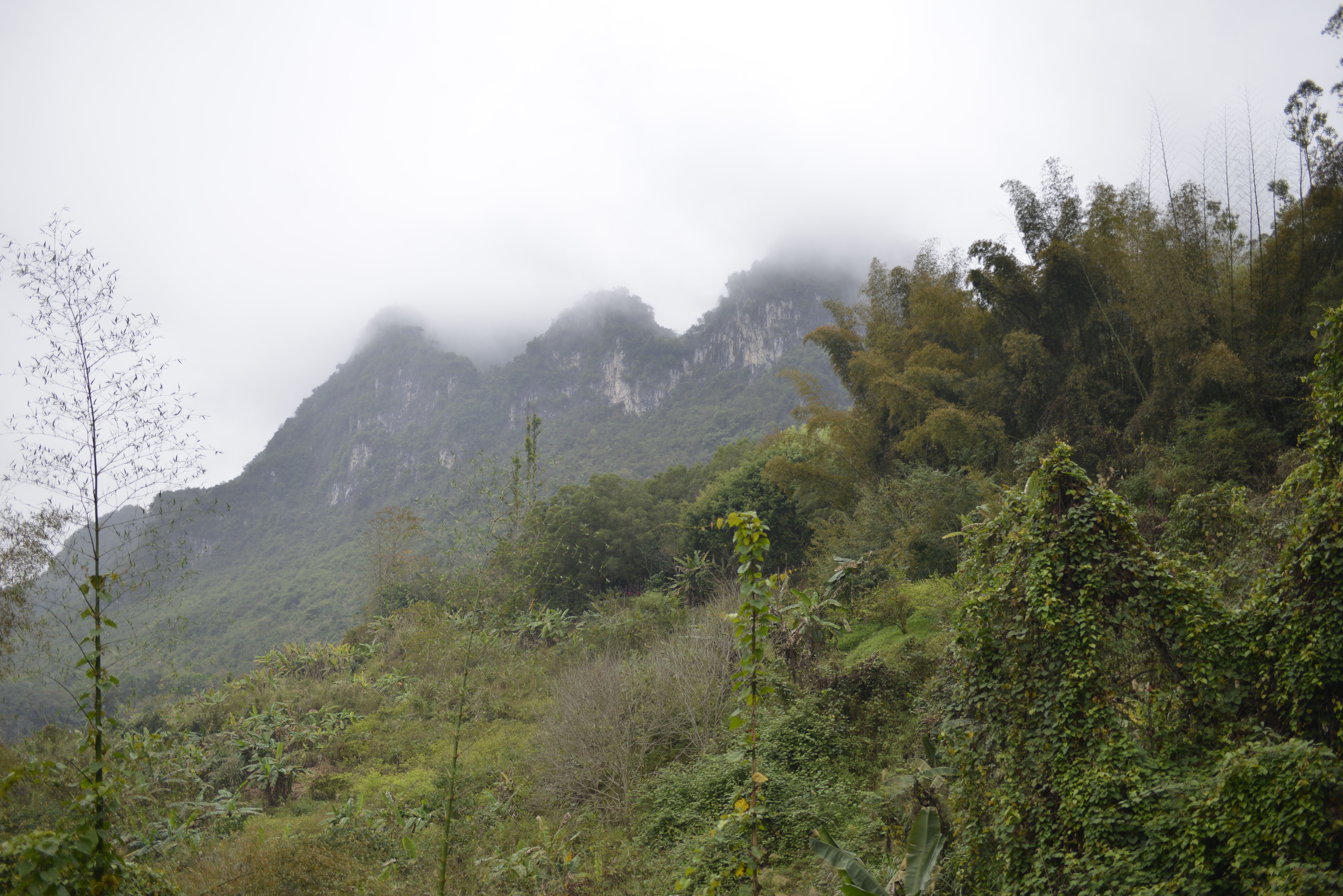 巴马长寿老人有什么说法,广西巴马长寿的真实原因