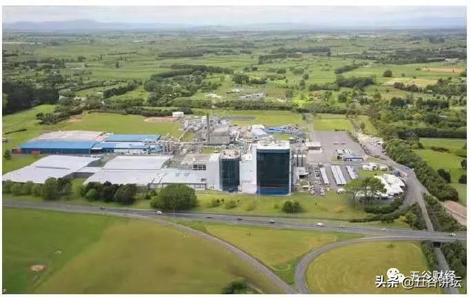 新西兰高培奶粉质量怎么样,新西兰高培国际奶粉