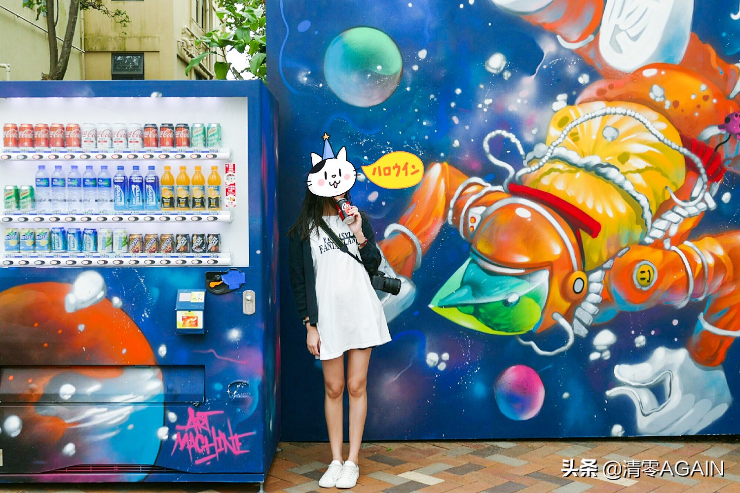 挖掘网红地x另类打卡挪亚方舟的文青路线