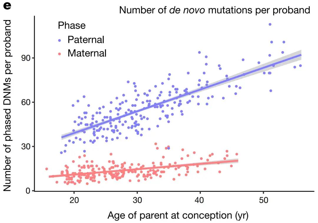产妇b超显示头部偏大,孕期单纯股骨偏小