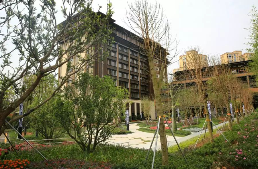 深圳最好的中医医院在哪里,深圳靠谱的中医医院