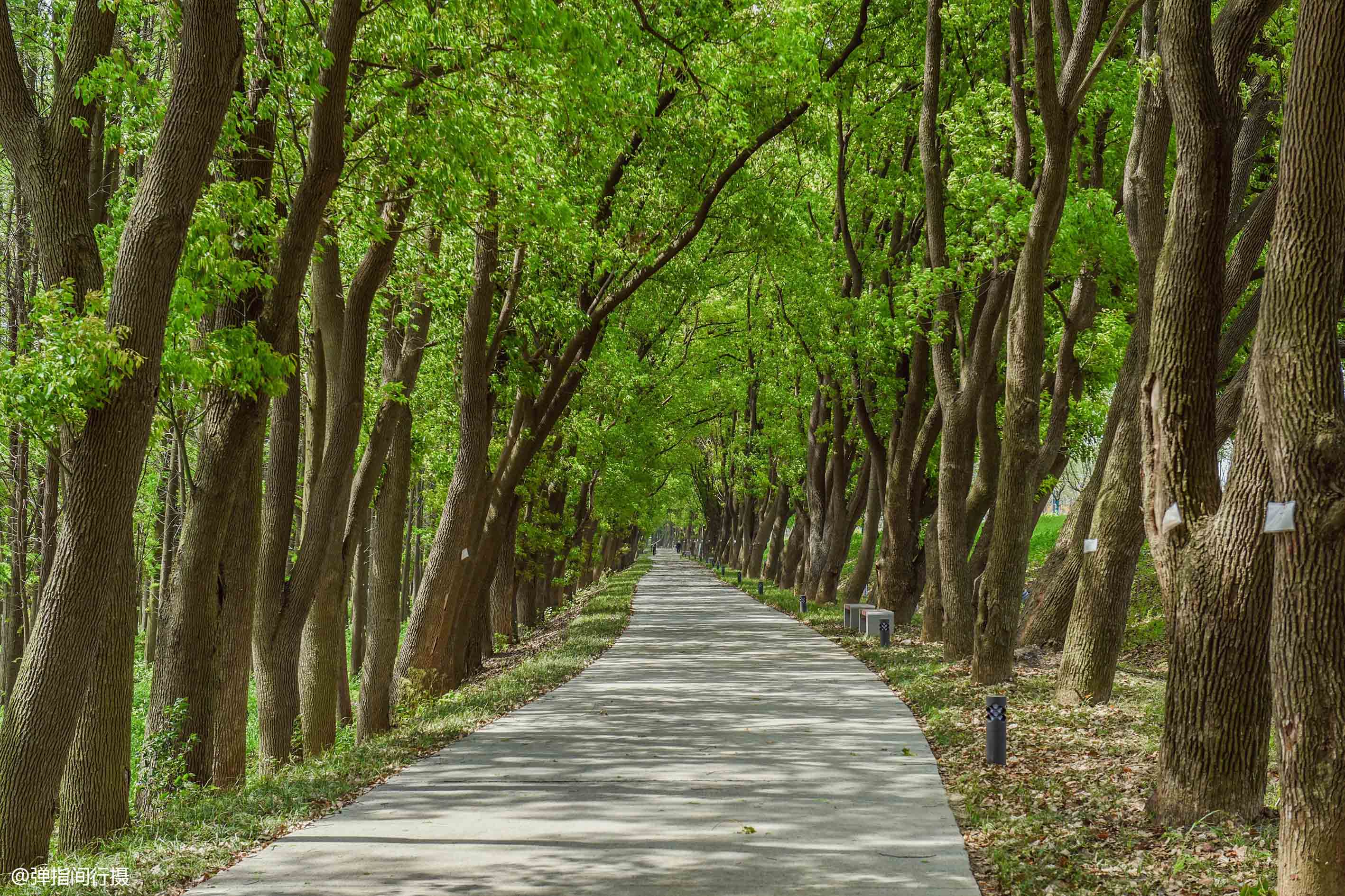 苏州太湖国家湿地公园值得去吗,苏州太湖湿地公园秘境