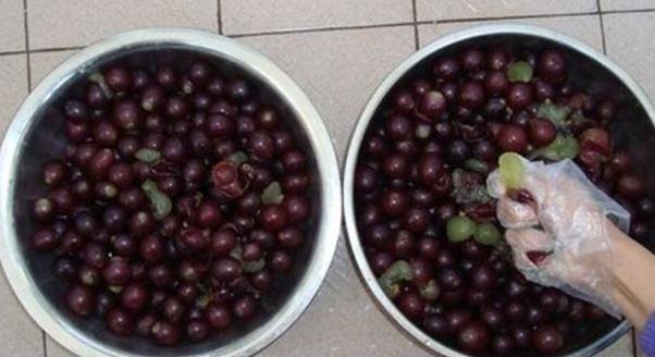 自制葡萄酒9岁以上的儿童能喝吗,自制葡萄酒上面一层白霉怎么处理