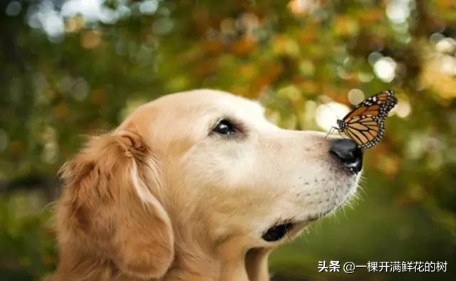 拜托，你没教养的“自嗨”，真不是率直可爱