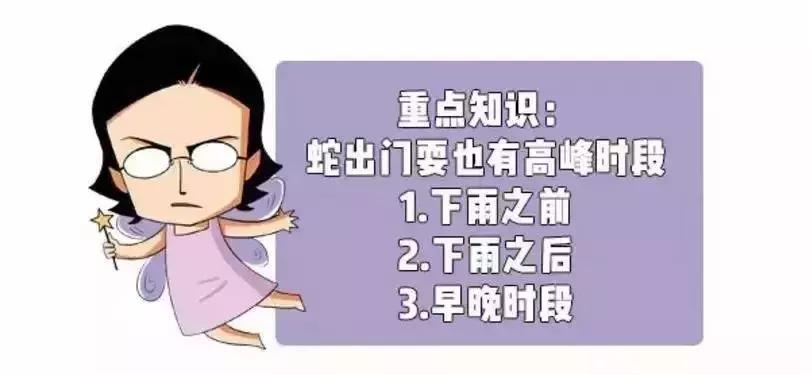 怀孕被毒蛇咬了小孩可以生下来吗,孕妇被毒蛇咬了怎么办