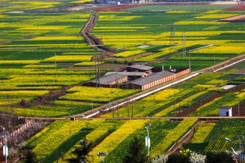 汉中的战略地位,汉中地处省会城市中心地带