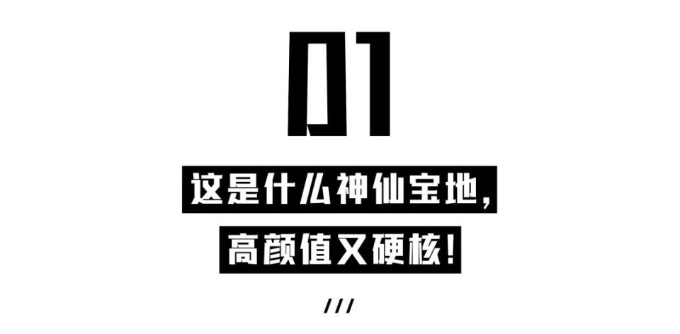 美哭了！沈阳公园里的高颜值城市书房，周末限流入馆！暴风哭泣