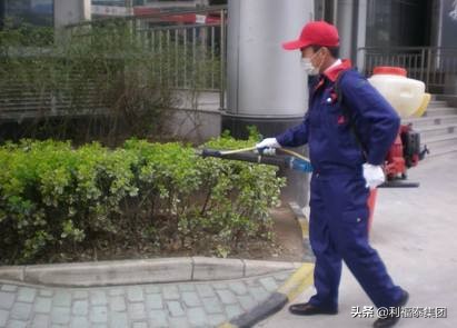 白蚁治理厦门灭白蚁公司,厦门灭蠓虫机构