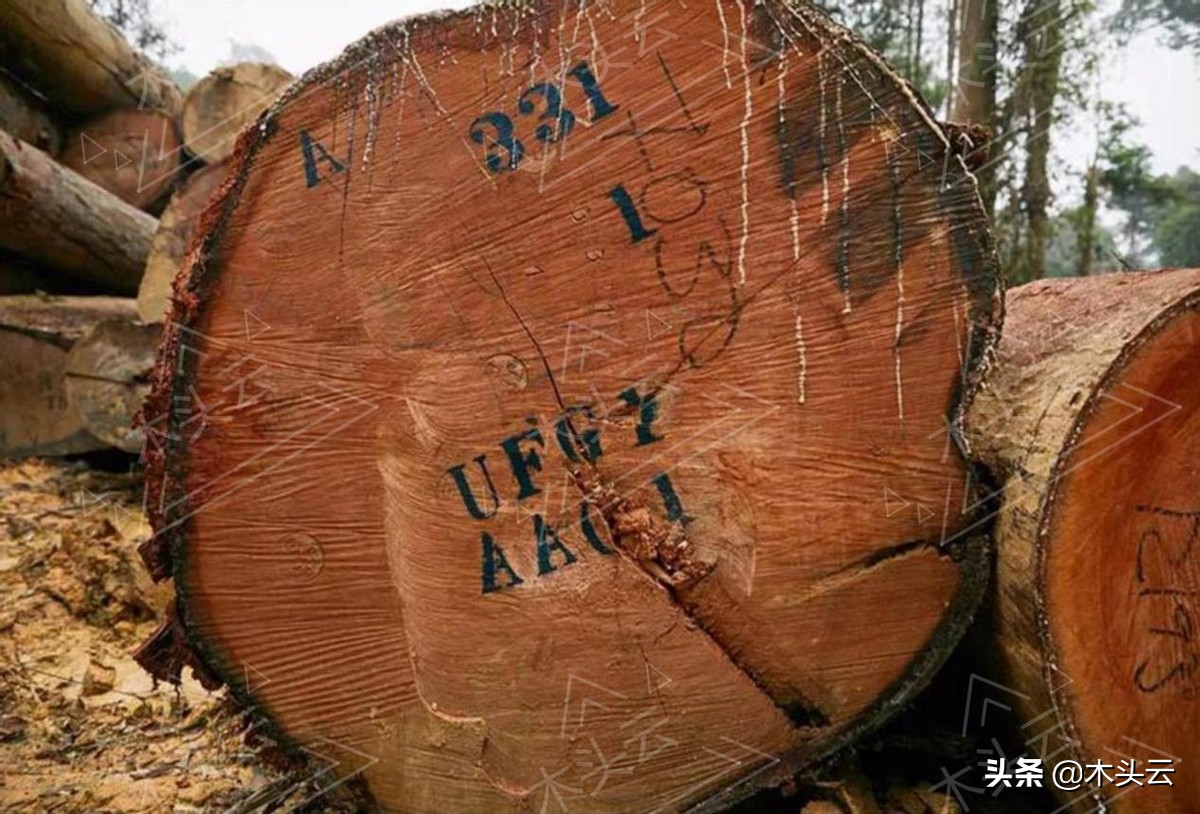 奥古曼木材也叫什么,奥古曼木材属于哪个档次的