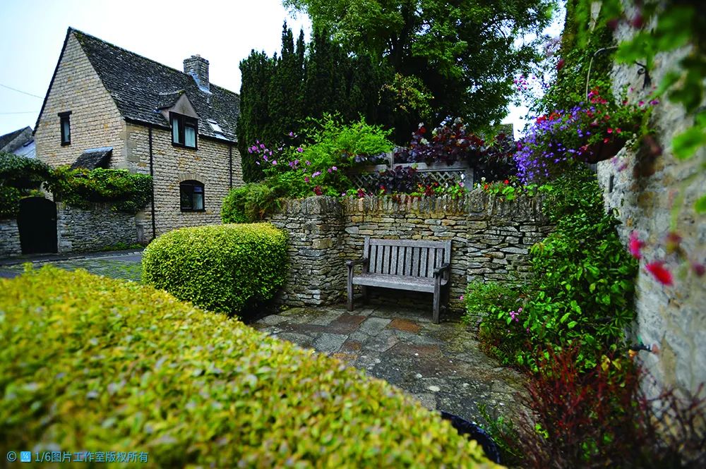 李忠乡村振兴系列,李忠的精辟分析