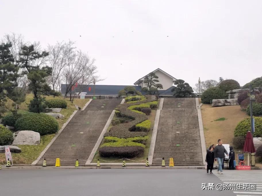2元花盆批发清仓,2元花卉批发市场