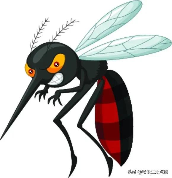 夏天庭院怎么驱除蚊子,夏天小院防蚊子妙招