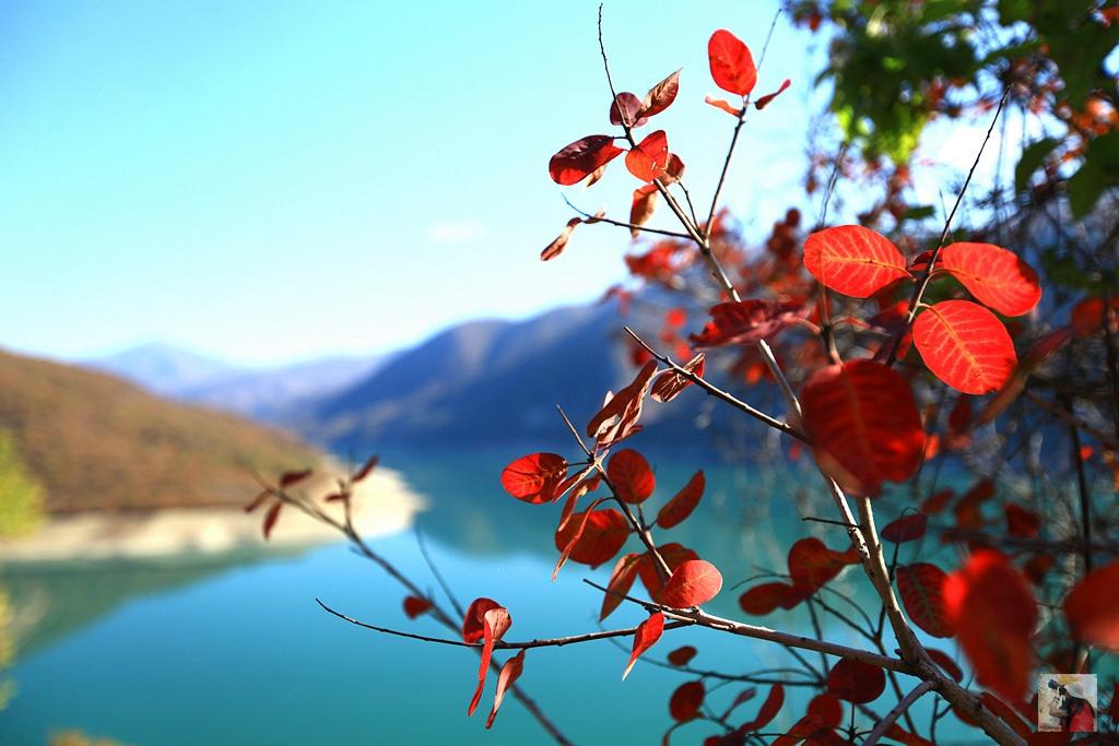 金秋探秘格鲁吉亚和亚美尼亚，大量美图谨防中毒（干货篇）