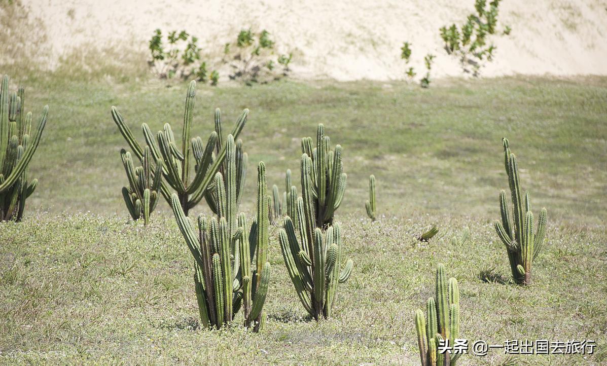 罗纳尔多十大变态进球贝利,足球王国巴西完整版