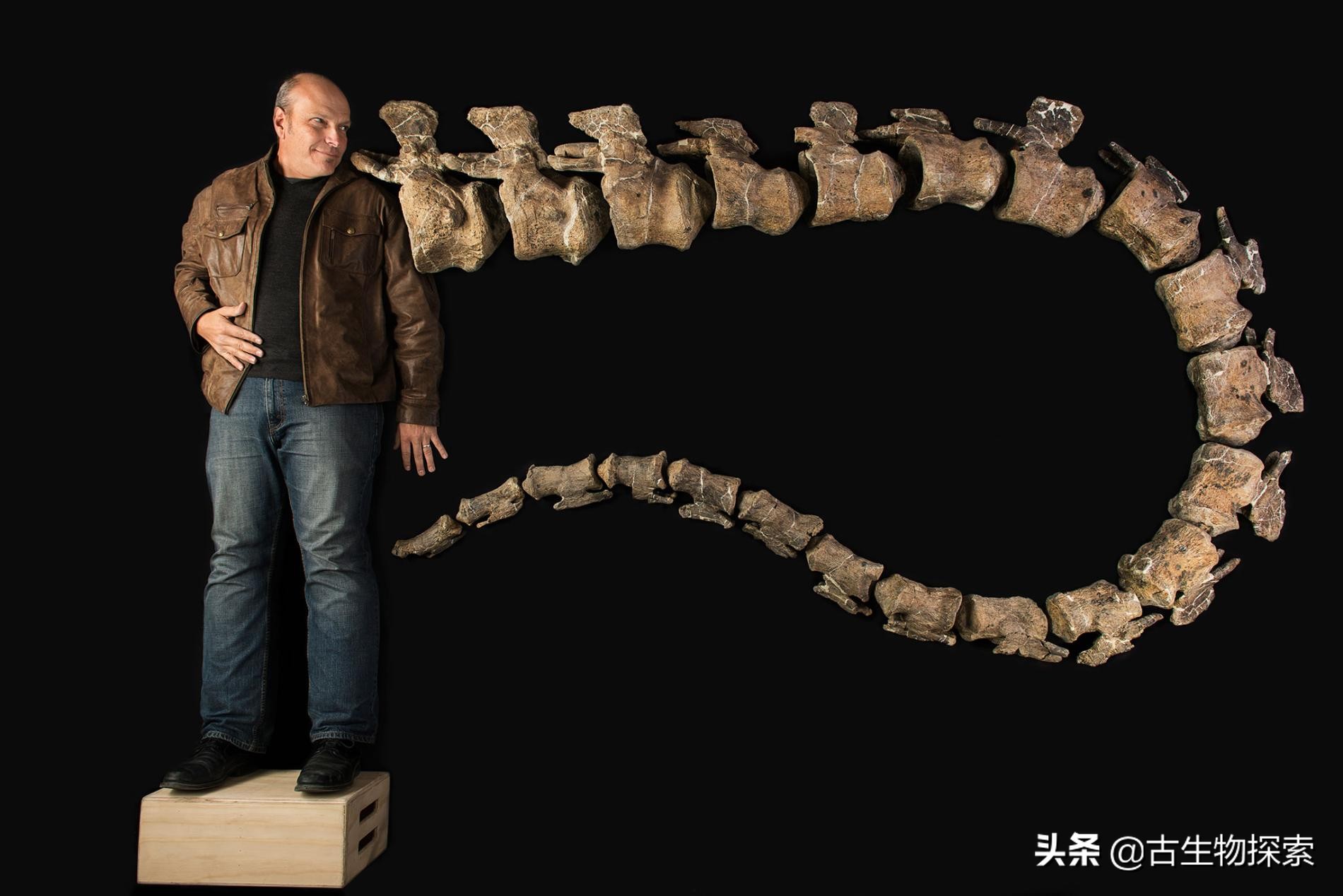 超级巨龙和金牌巨龙,超级巨龙进化