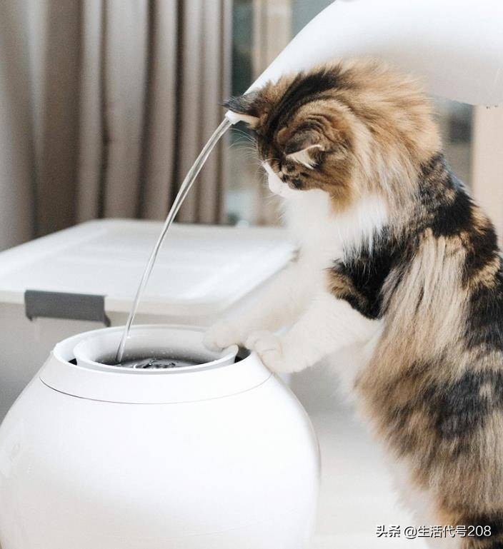 亲爱的客栈测评,亲爱的客栈第一季美景