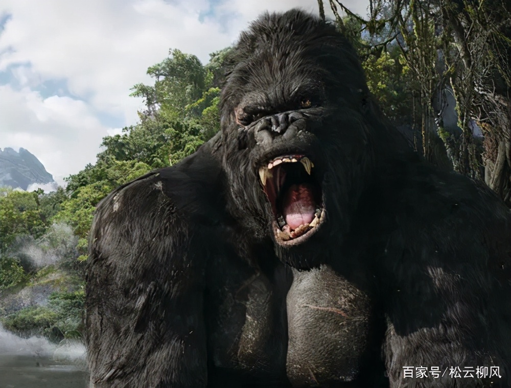 驴和马生骡子是杂交育种吗,马和驴的杂交染色体是如何结合的