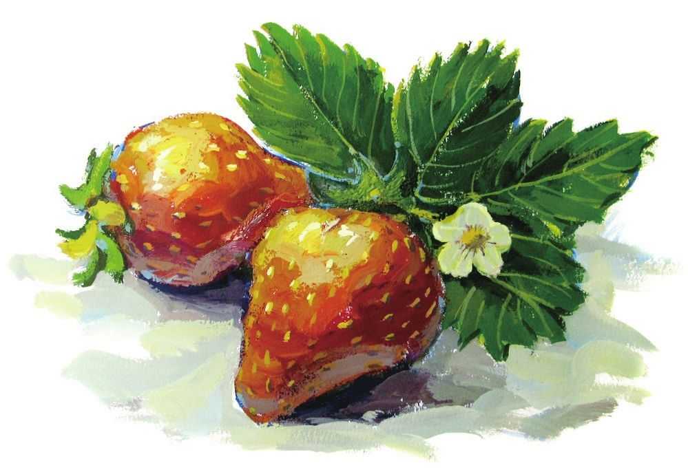 透明碗装草莓水粉怎么画,怎么用水粉颜料画草莓