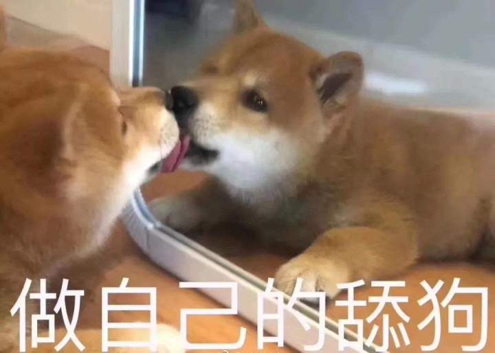 被人舔狗是什么体验,被舔狗甩了什么感受