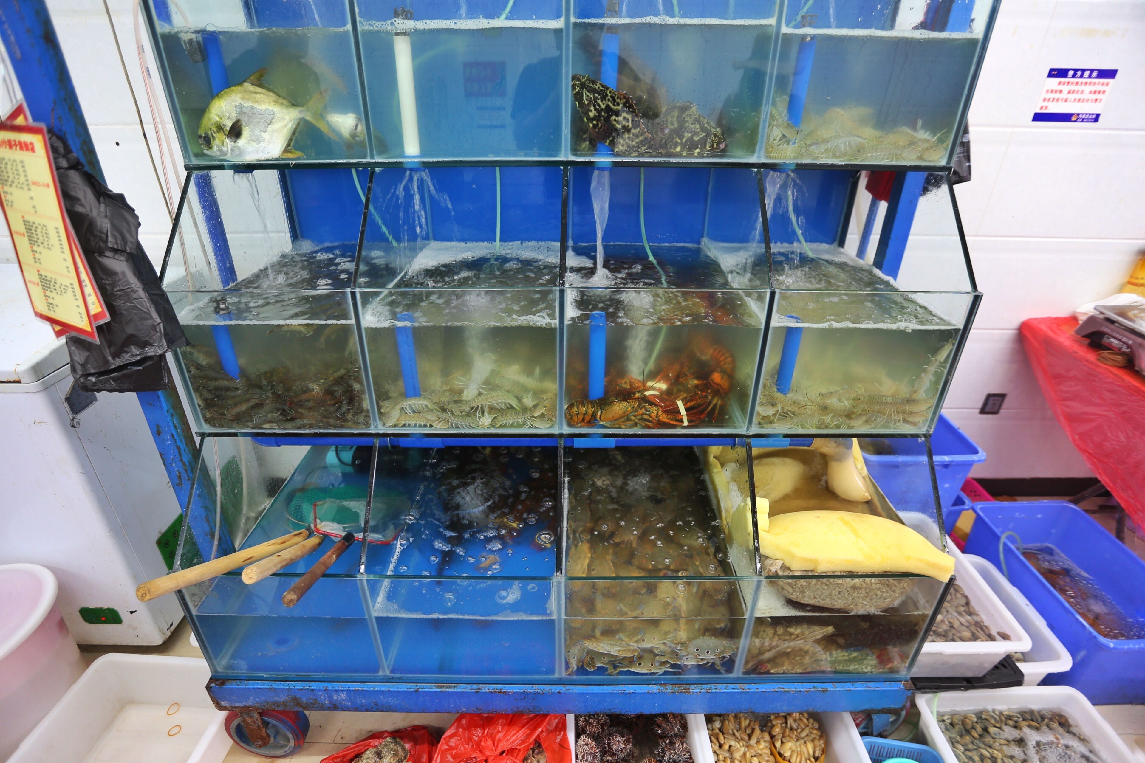 买海鲜要小心,买海鲜防套路