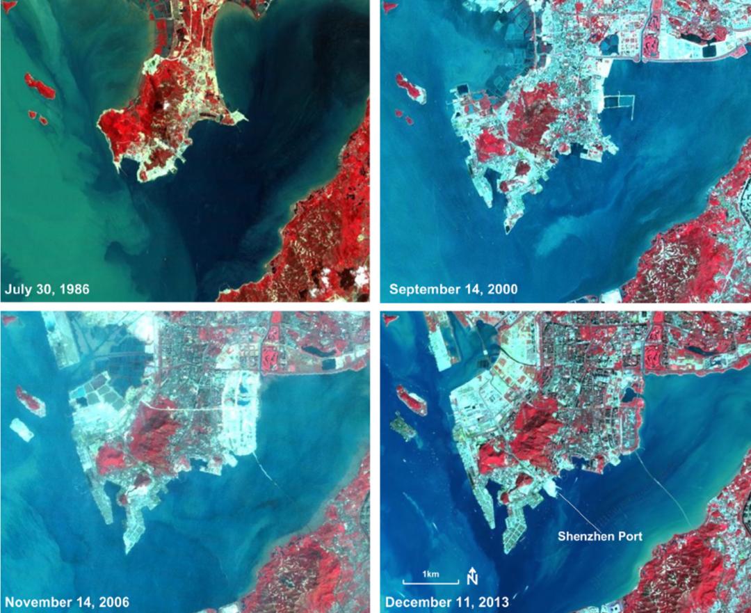 深圳湾在哪里,深圳湾是什么区的