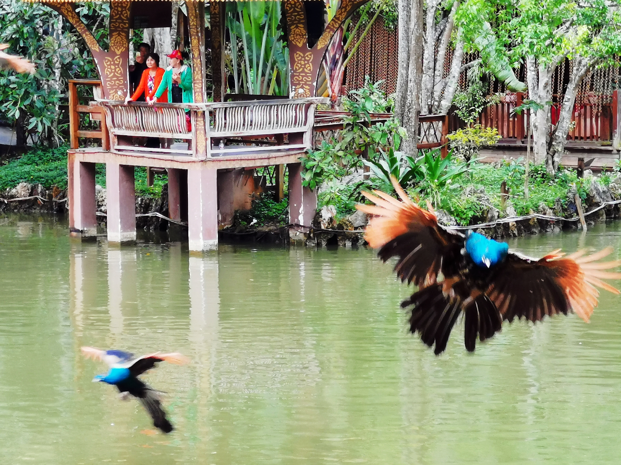 了解西双版纳的风俗和民族文化,西双版纳哈尼族特色民族文化