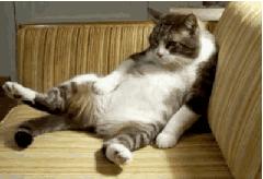 五一抽大奖活动,五一礼包抽奖