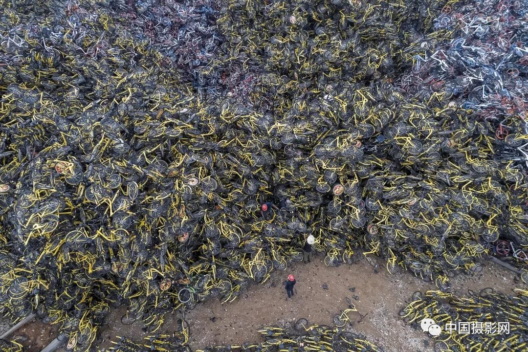 第七届全国摄影十杰获奖者,中国摄影年度人物排名