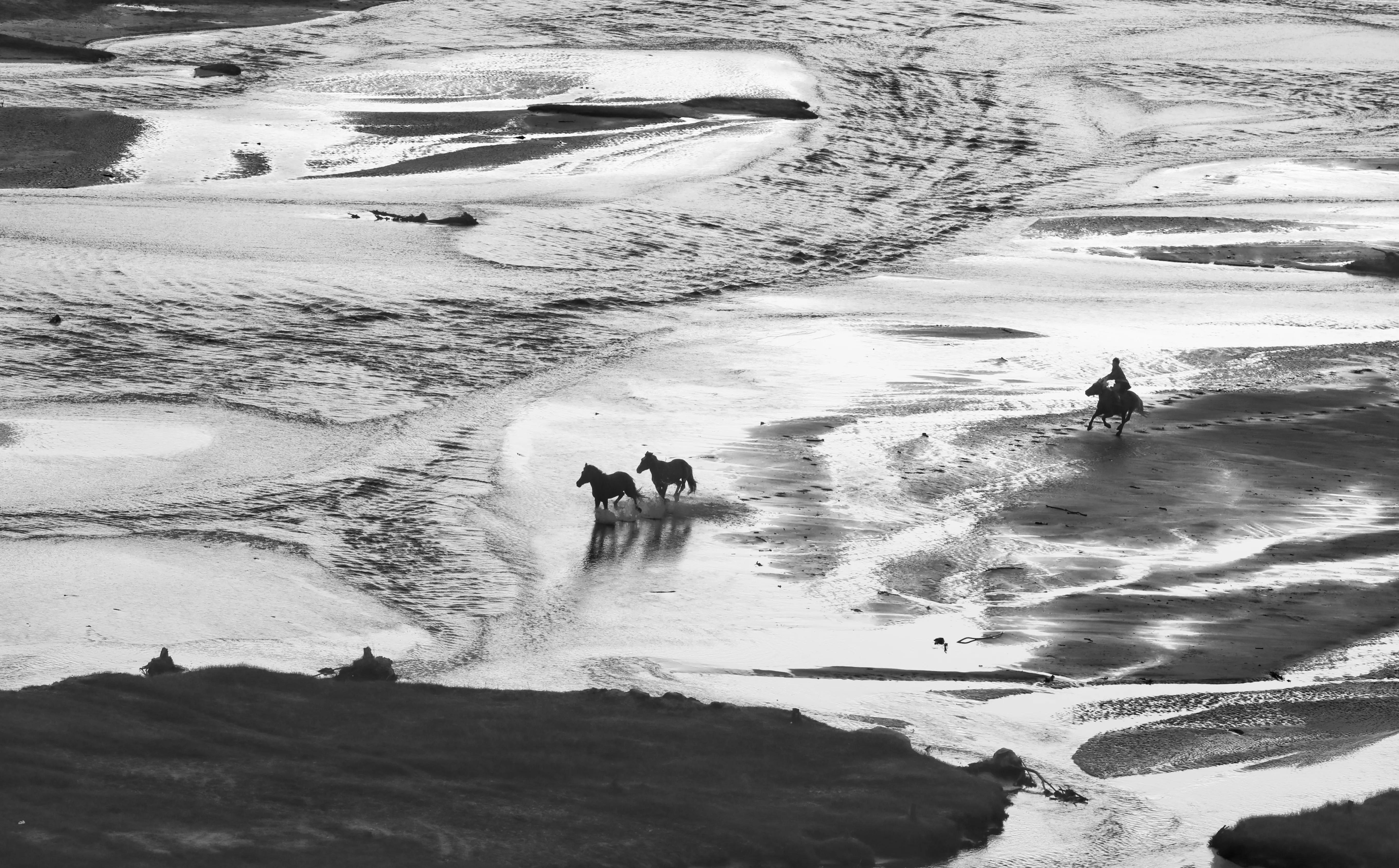 坝上秋色草原,坝上草原游记作文